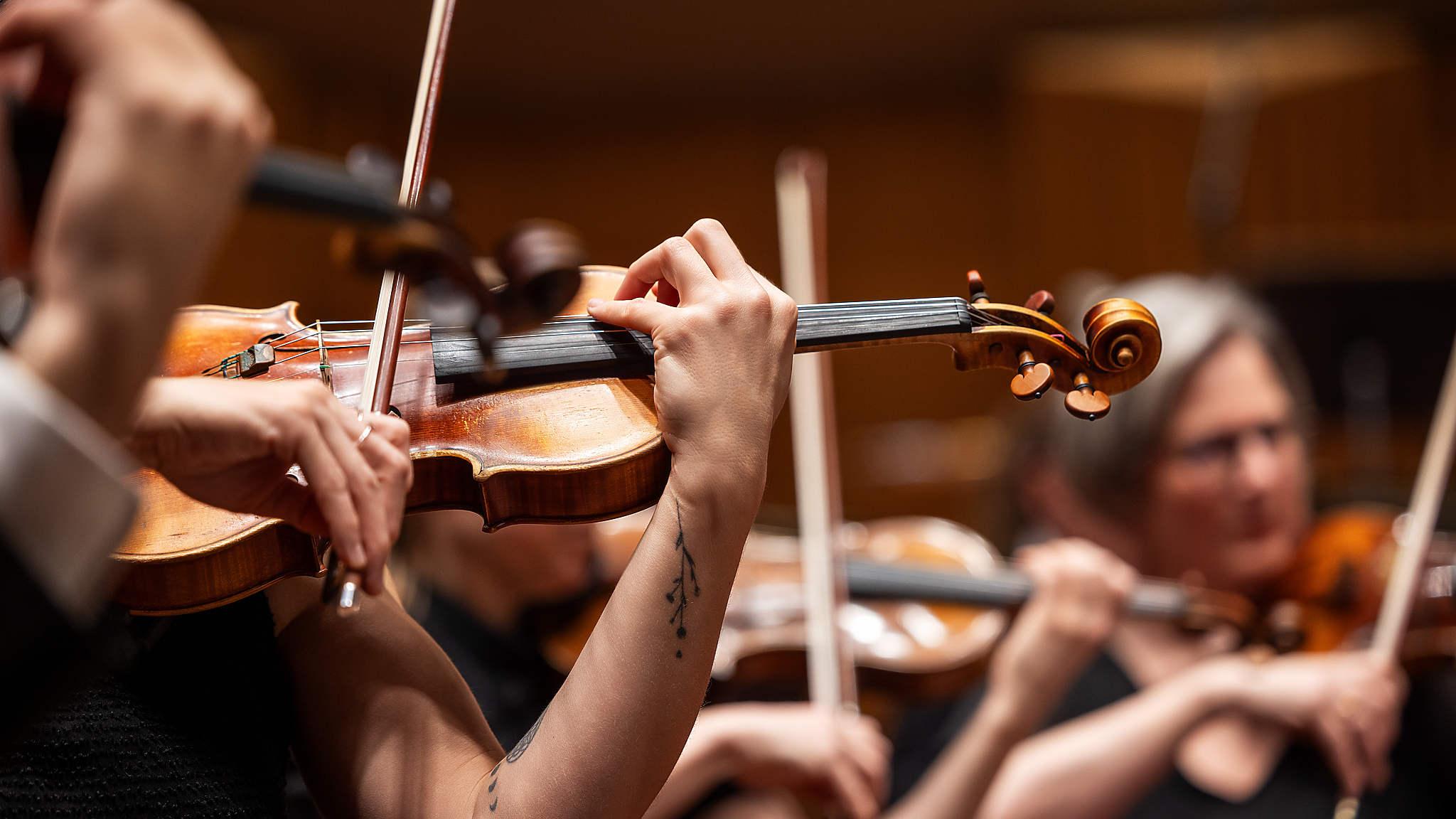 Bild på händer som spelar violin. Händerna i fokus har en tatuering av en blomranka. Flera musiker är otydliga i bakgrunden.